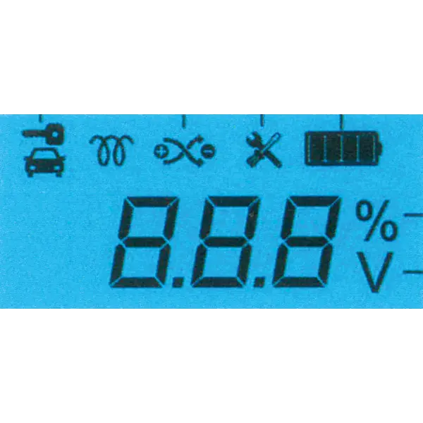 26117