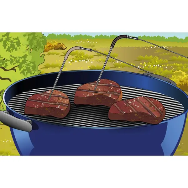 ThermoControl Duo