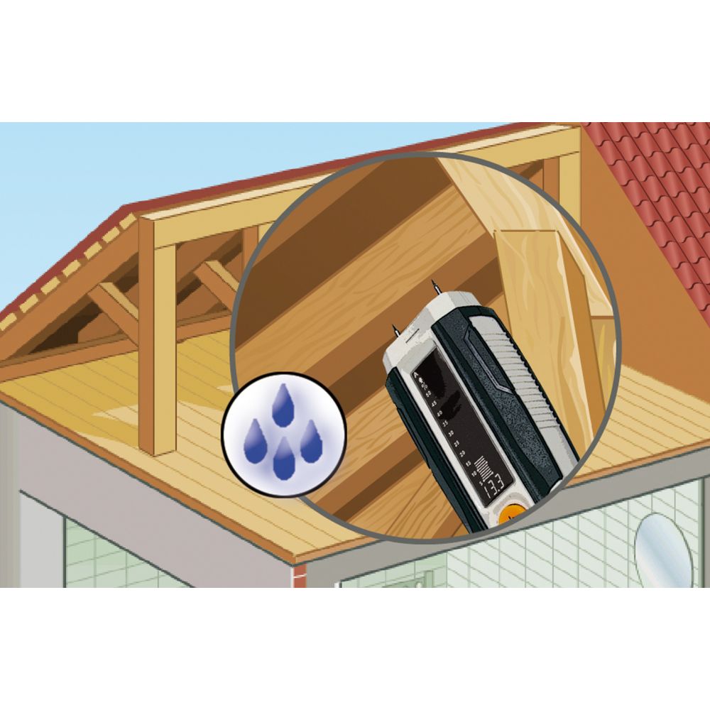 DampFinder Compact